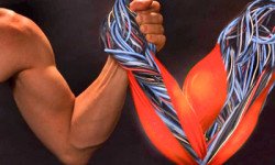 Армрестлинг: какие мышцы работают?