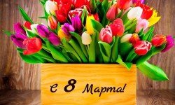 График работы магазина 08.03.2017