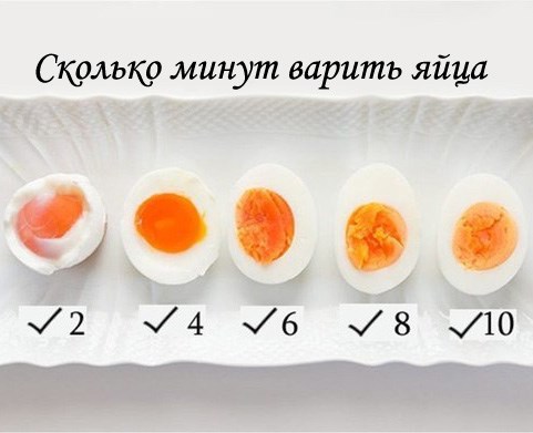 Яйца и их польза для спортсмена