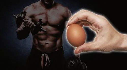 Польза сырого яйца в спорте